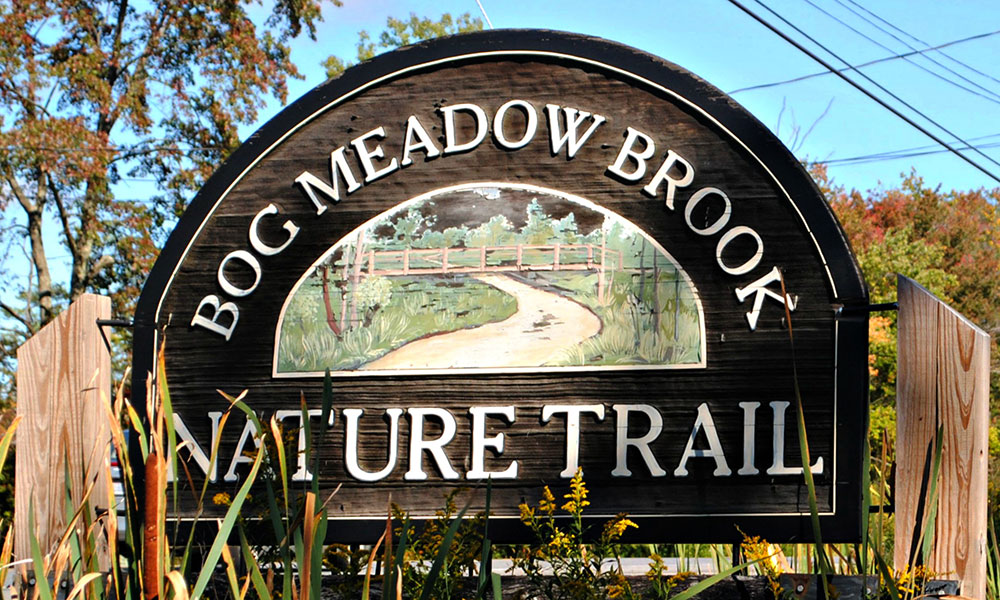 Bog Meadow Brook Trail