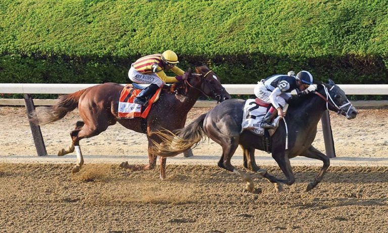 Travers Stakes 2017: Could Tapwrit Win the Mid-Summer Derby?