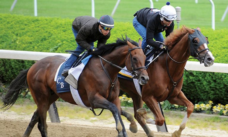 Stepwise Farm Hits a High Point With Twisted Tom, a Starter at the Belmont