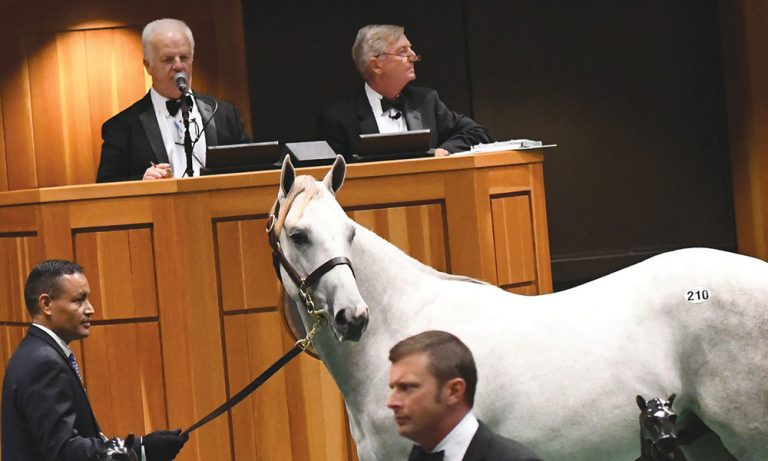 $3.65 Million Curlin Colt Tops Completed 2-Year-Old Sales Season <h4 style='color:#999;font-weight: 300;font-size: 18px;margin-top:20px;' data-eio=