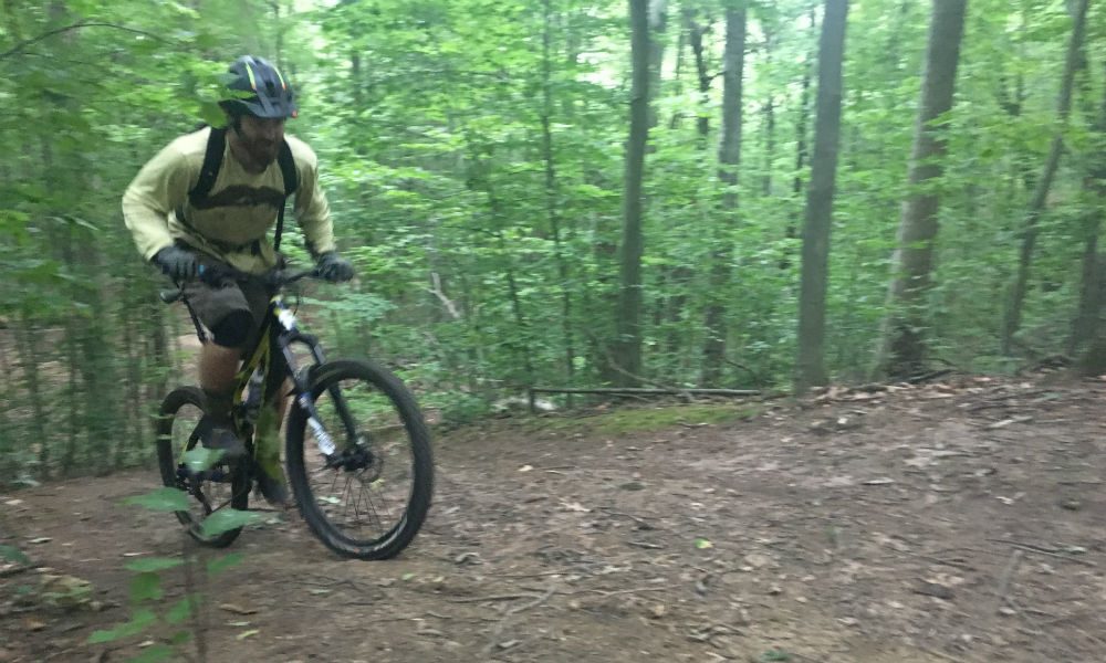 new forest mountain biking