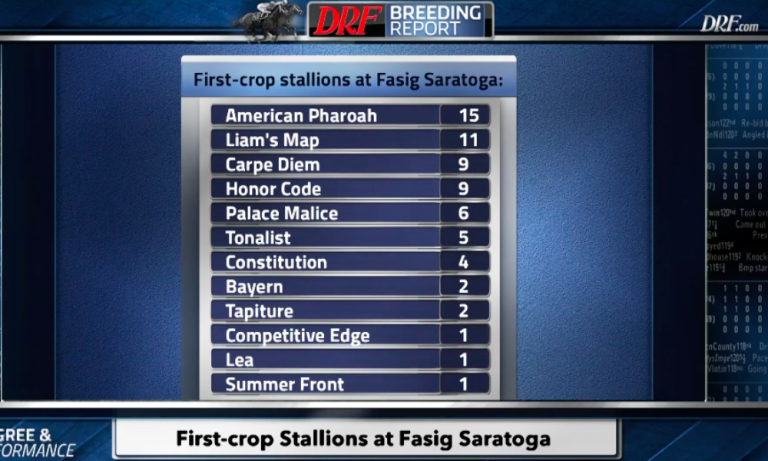 Daily Racing Form: First Crop Stallions at Fasig-Tipton Saratoga Springs