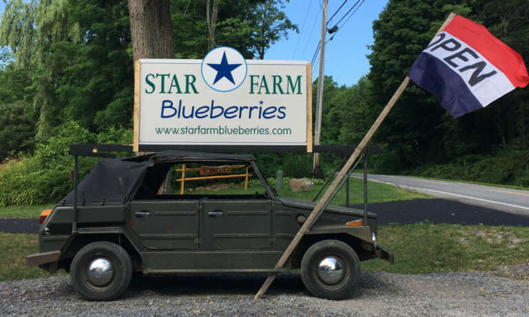 Star Farm Blueberries