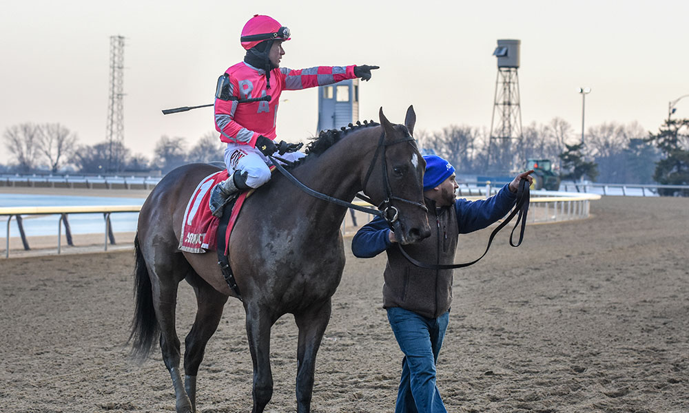 EXCLUSIVE Photo Gallery Highlights From Tax's Win At Aqueduct's