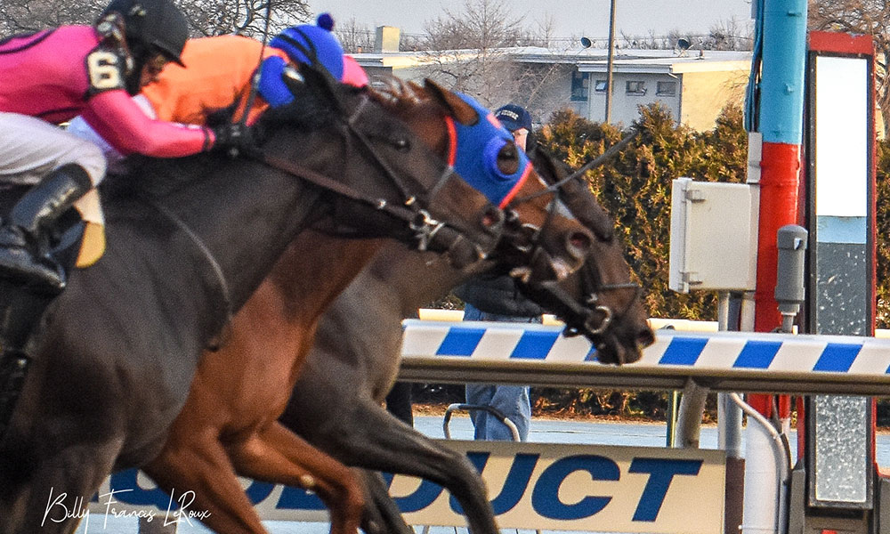 EXCLUSIVE Photo Gallery Highlights From Tax's Win At Aqueduct's