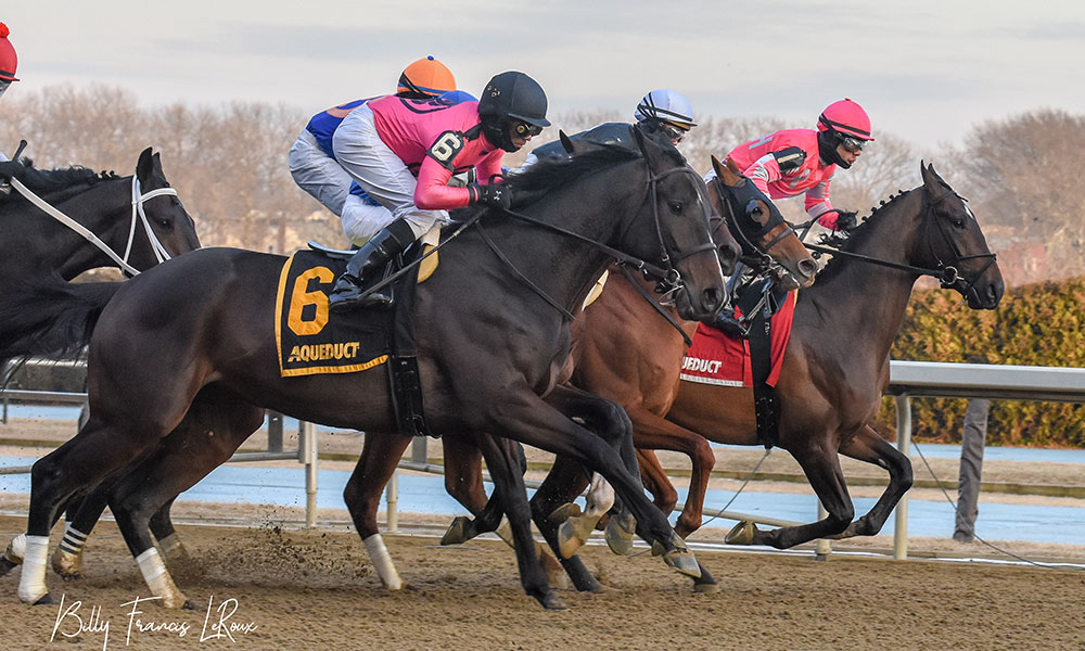 EXCLUSIVE Photo Gallery Highlights From Tax's Win At Aqueduct's