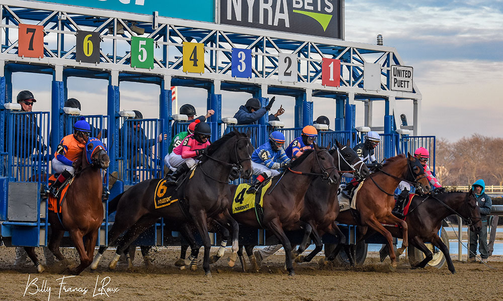 EXCLUSIVE Photo Gallery Highlights From Tax's Win At Aqueduct's