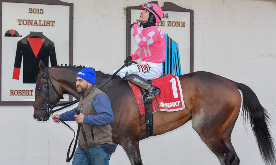 EXCLUSIVE Photo Gallery Highlights From Tax's Win At Aqueduct's