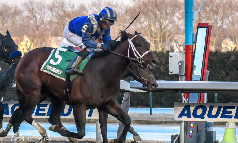 EXCLUSIVE Photo Gallery: Scenes From Haikal’s One-Length Victory At Aqueduct’s Gotham Stakes
