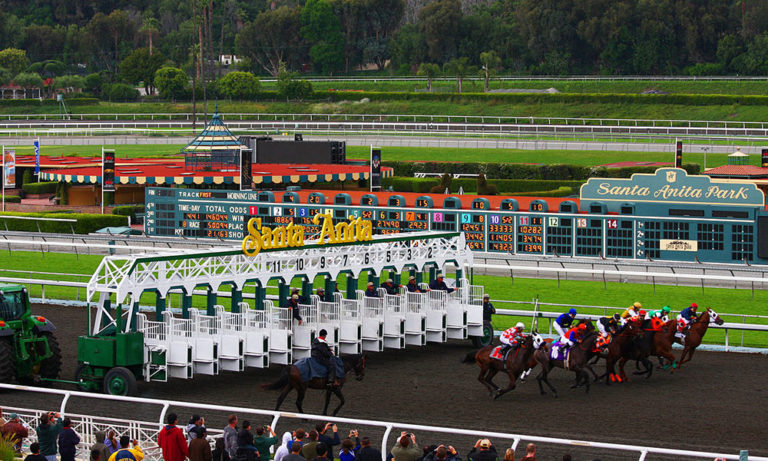 DRF: Santa Anita Suspends Racing Indefinitely After A Rash Of Horse Deaths