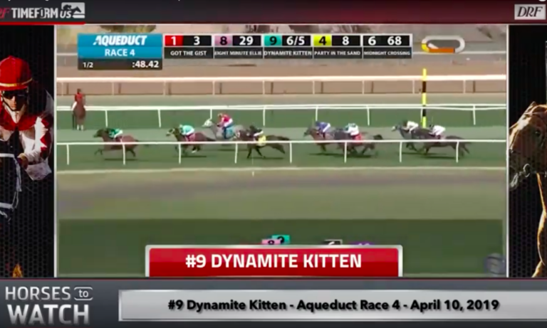 Daily Racing Form Video: Horses To Watch – April 17, 2019