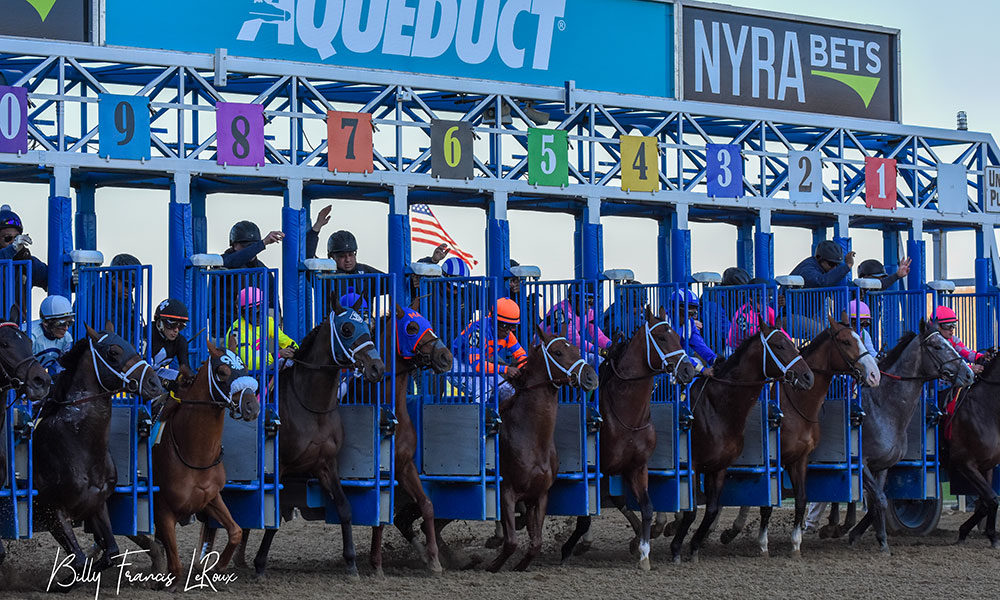 EXCLUSIVE Photo Gallery Scenes From Aqueduct's The Wood Memorial
