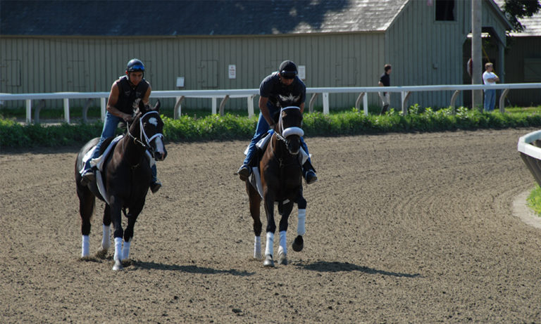 Saratoga Race Course’s Oklahoma Training Track To Open To Essential Personnel On June 4