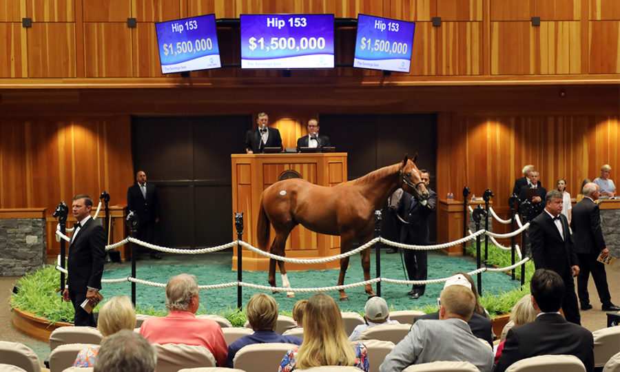 FasigTipton Has RecordBreaking Saratoga Sale With Two Yearlings Going