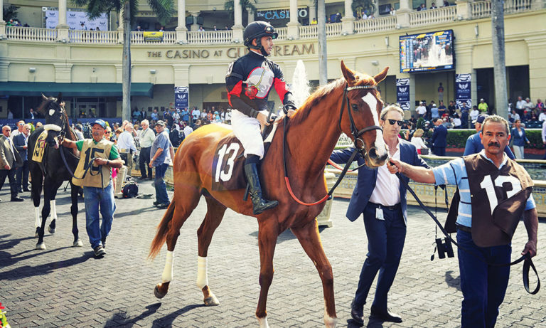 What To Do In Fort Lauderdale While At The Pegasus World Cup