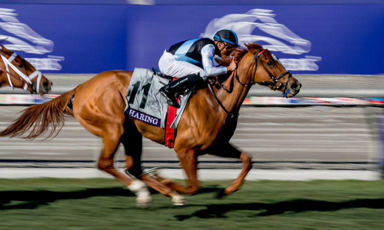 Daily Racing Form: 2019 Breeders’ Cup Post-Race Analysis