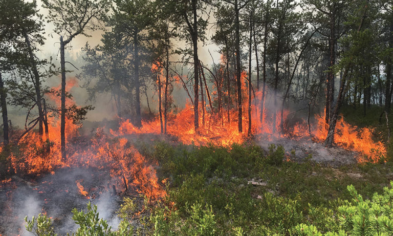 The ‘Saratoga Living’ Story You Have To Read: Saratoga & Fire