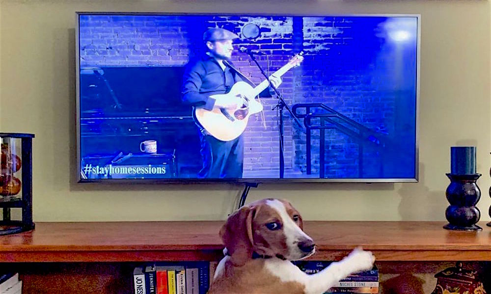 The Virtual Calendar All The National And Capital Region Remote Events Available During The The Virtual Calendar All The National And Capital Region Remote Events Available During The