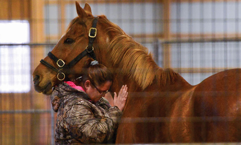 Save That Date: July 15 Is National ‘I Love Horses Day’