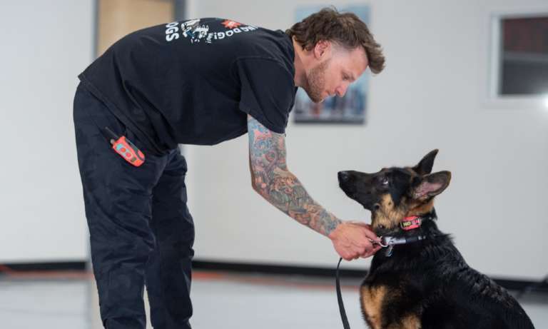 Saratoga County Dog Trainer Tom Davis Appears on The ‘Today’ Show