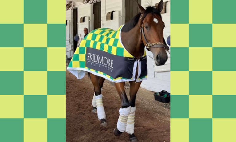 Kentucky Derby Contender Mo Donegal’s Saratoga Connections