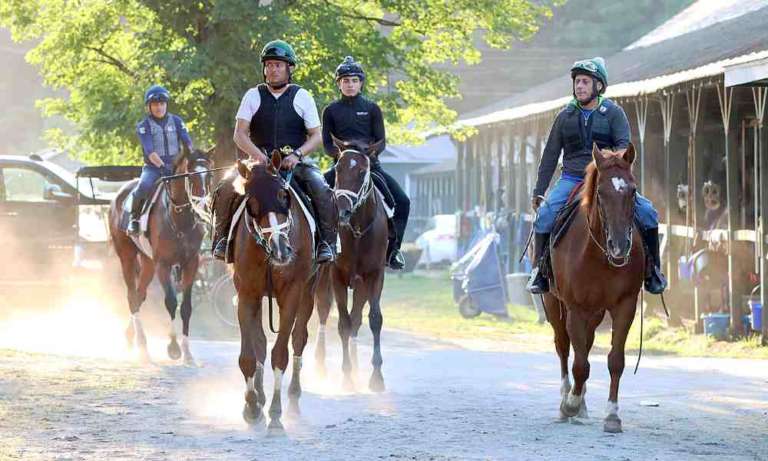 Gallery: Morning Workouts at Saratoga Race Course <h4 style='color:#999;font-weight: 300;font-size: 18px;margin-top:20px;' data-eio=
