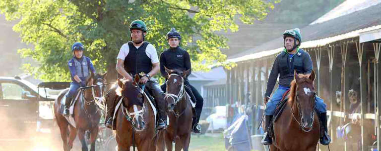 Gallery: Morning Workouts at Saratoga Race Course