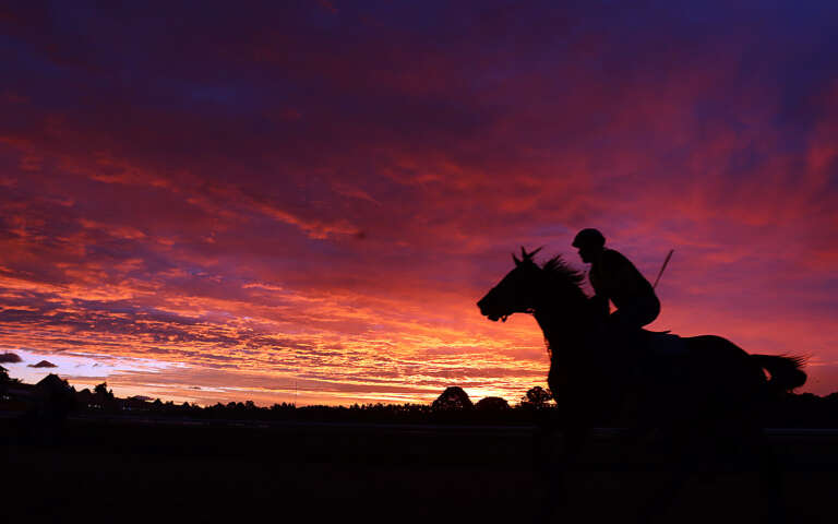 Scenes From Morning Workouts at Saratoga Race Course