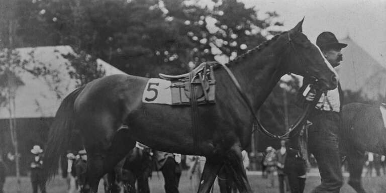 The Filly That Won the First Belmont Stakes at Belmont Park
