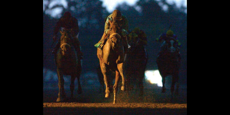 20 Years Later, Birdstone’s Travers Still Resonates 