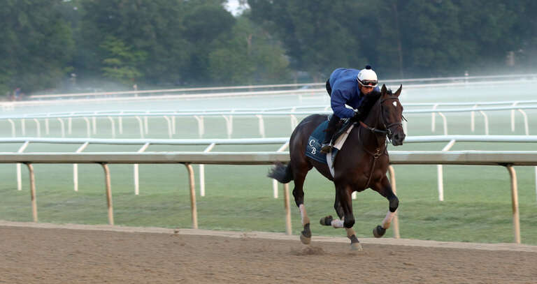 Gallery: Morning Workouts at Saratoga Race Course, Part 2