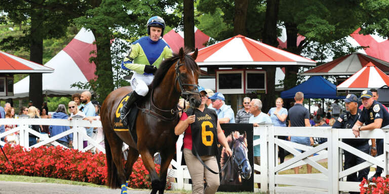 Steeplechase Jockey Graham Watters Is Chasing Greatness