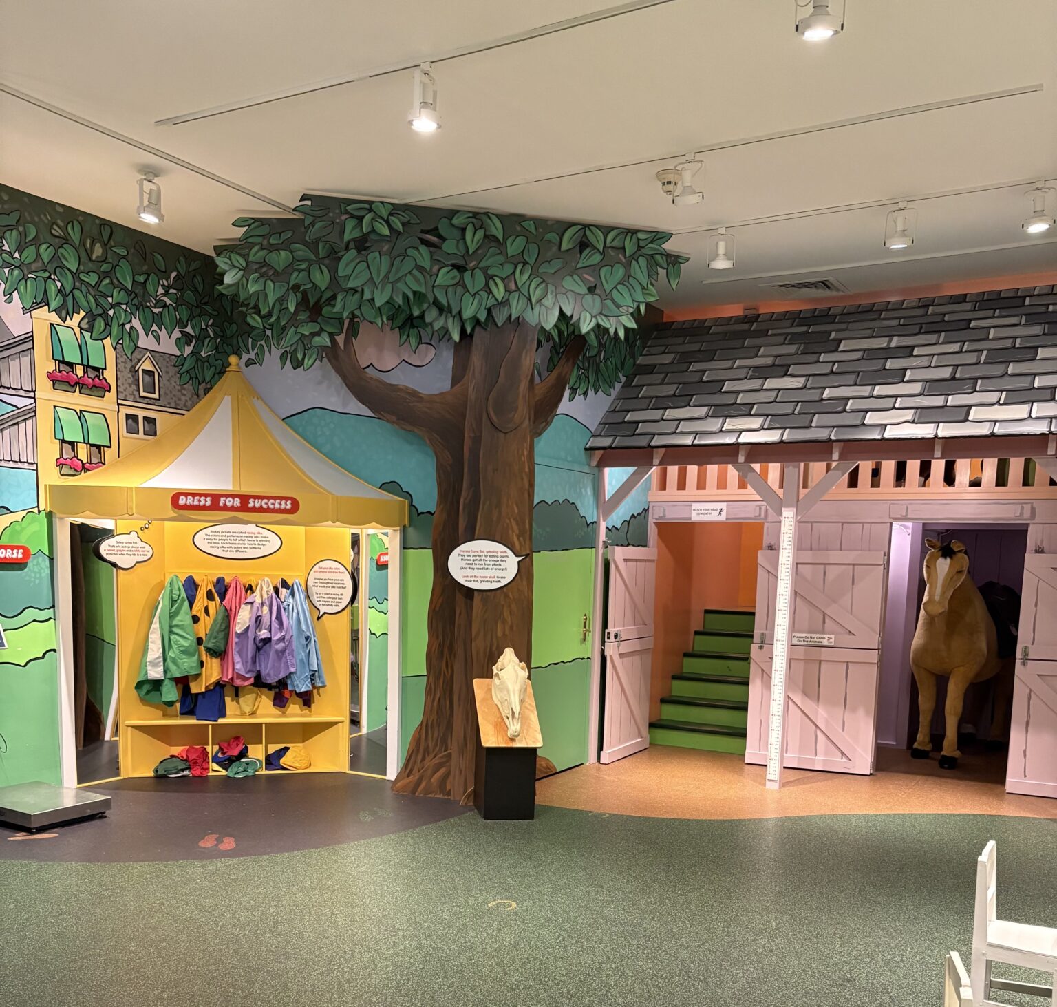 75 Reasons to go to the National Museum of Racing
