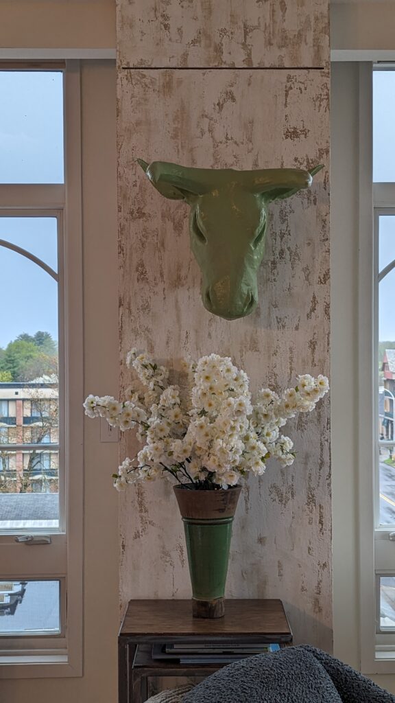 PXL_20240430_203611785 (1)