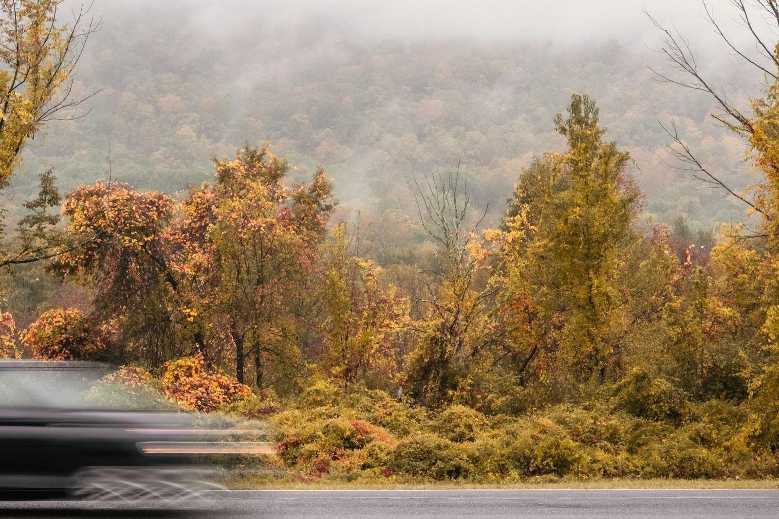A car blurs past yellow and orange autumn trees below a foggy hillside