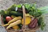 4 Ways to Get Farm-Fresh Food in Saratoga