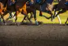 What Computer-Assisted Wagering Means for the Future of New York Horse Betting